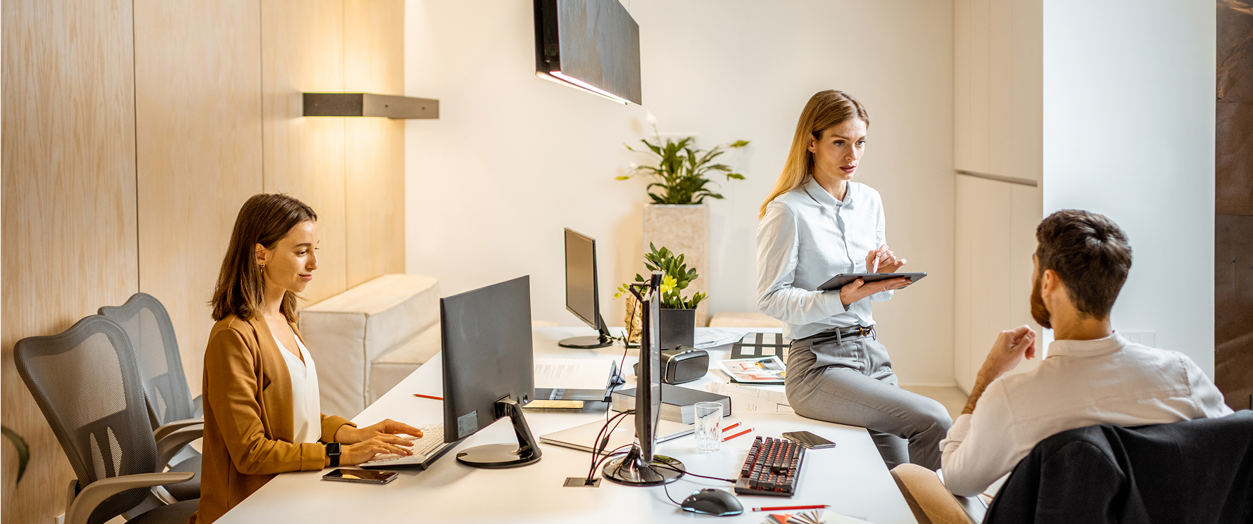 geconex_business-expertise