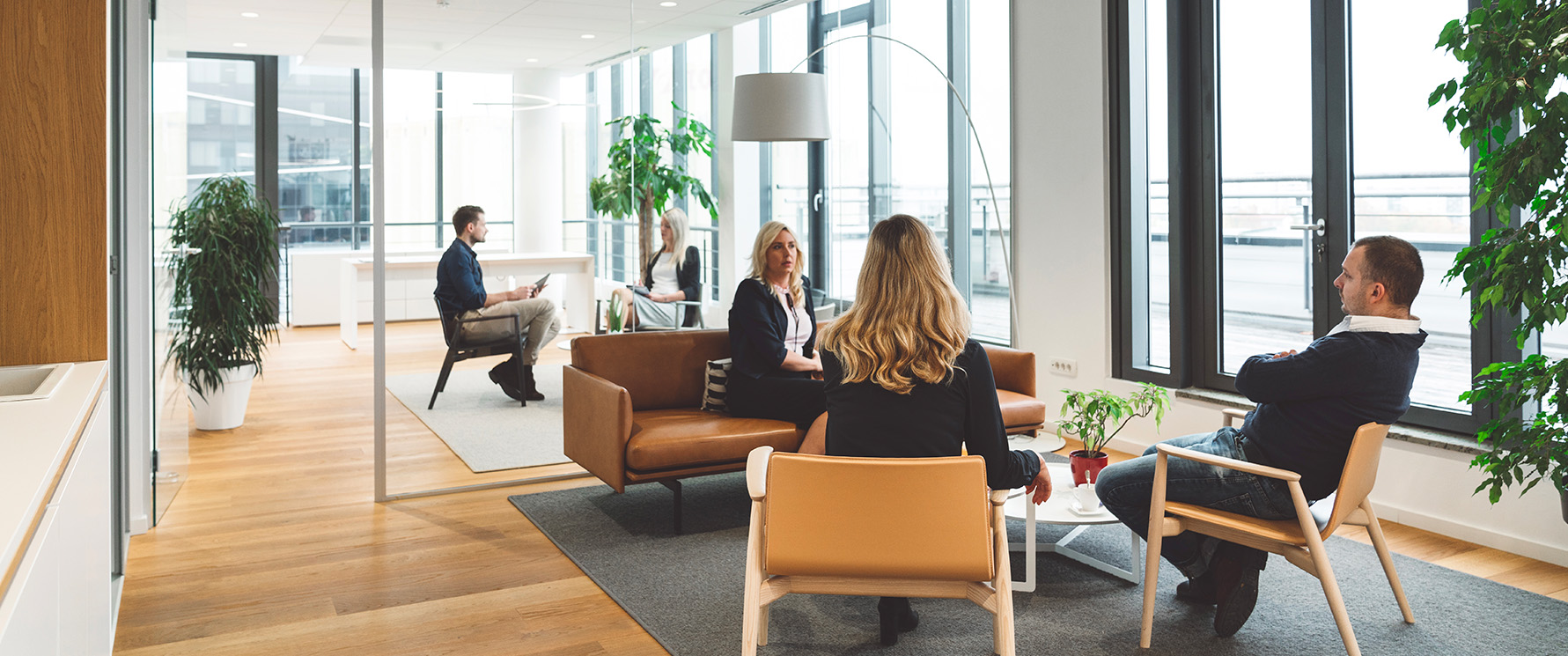 geconex practical advisory approach